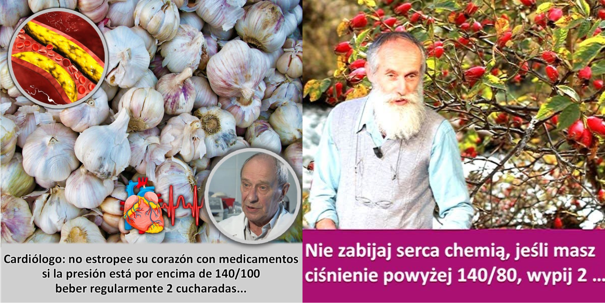 1757685006784-png.69735