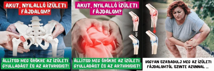 1758741646992-png.70502