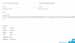 g-create-campaign-targeting-and-url.jpg