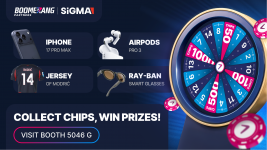 Boomerang Partners gifts.png