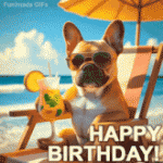 IMG_1330.gif