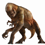 dwija