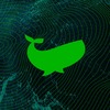 Whale-Green